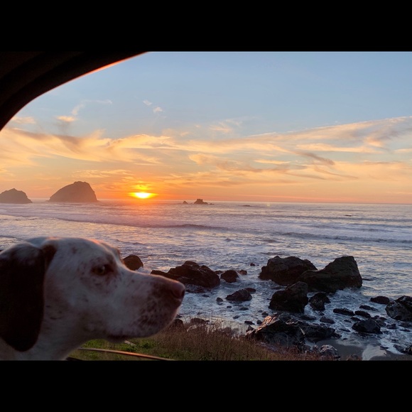 Meet your Posher, Laura💜Zaharatique💜 - Picture 3 of 4